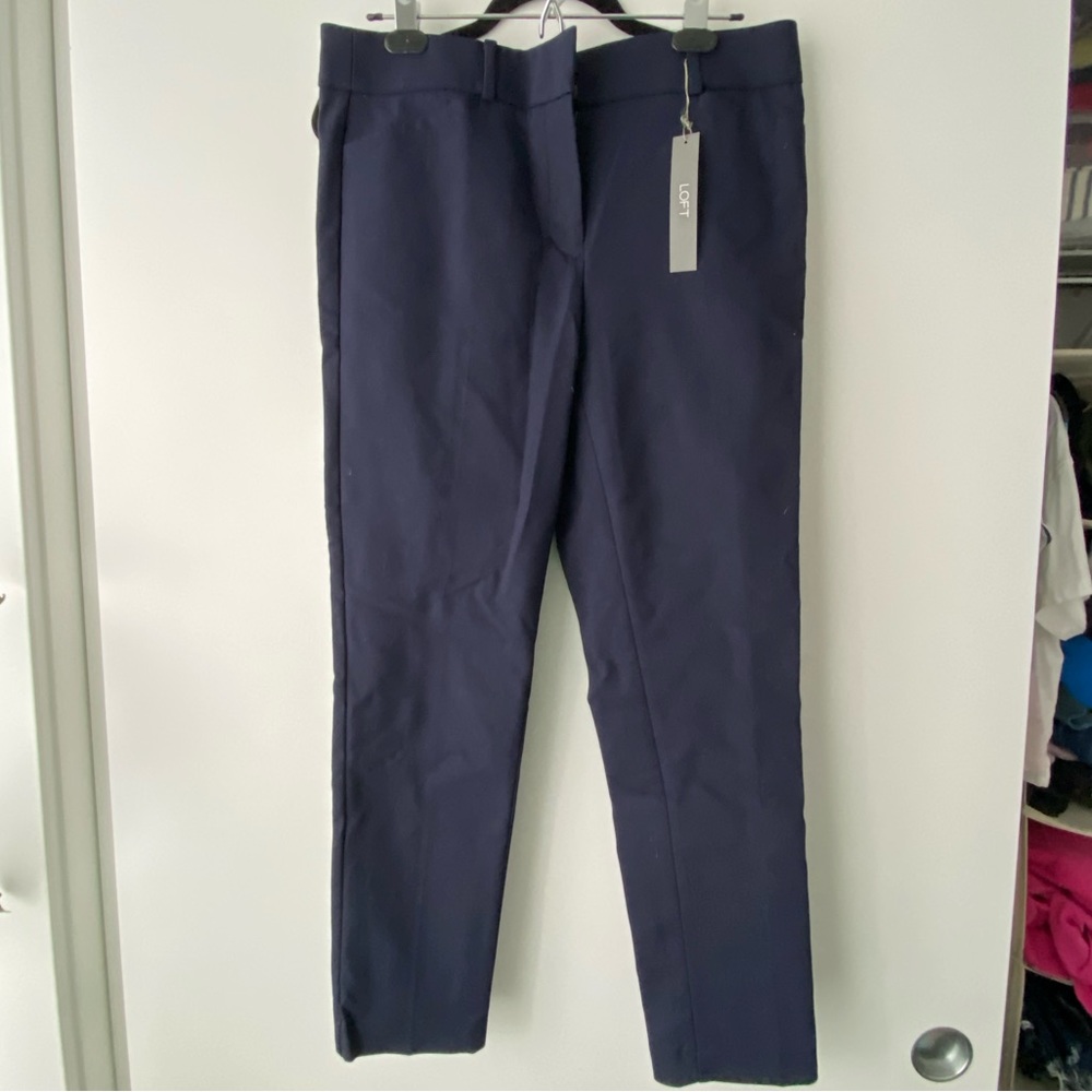 Ann Taylor Loft Marissa Skinny Pant